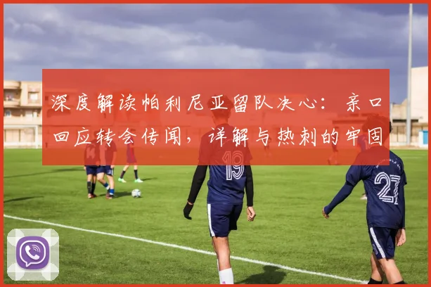 深度解读帕利尼亚留队决心:亲口回应转会传闻,详解与热刺的牢固关系